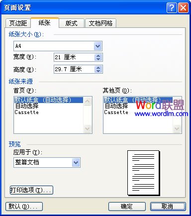 Word2003文档中设置纸张和文档网格