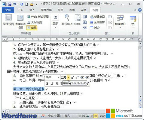 Word2010