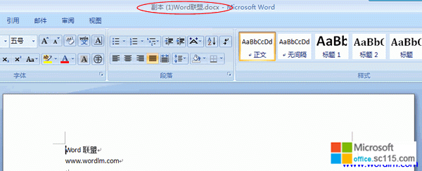 Word2007Ž̳̣5Ըʽĵ