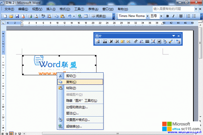 Word2003ĵͼƬ