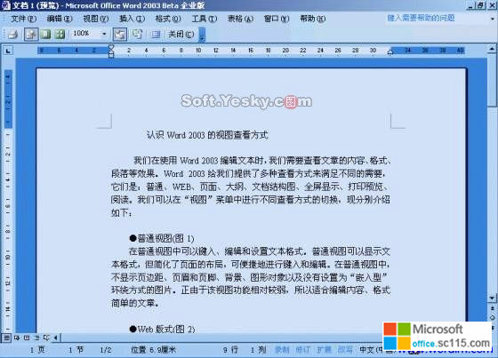 Word2003中的'全屏显示'功能与'打印预览'功能